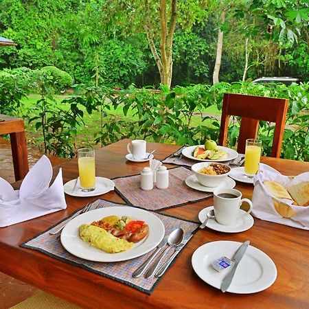 Primate Lodge Kibale Kampala Kültér fotó