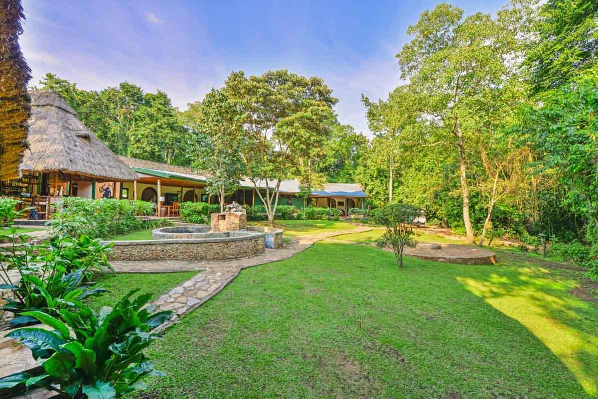 Primate Lodge Kibale Kampala Kültér fotó